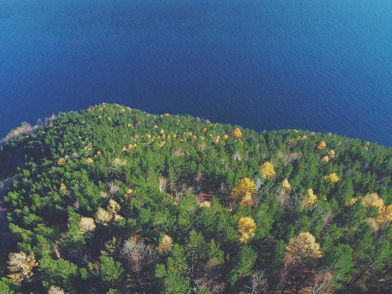 Equipe em treinamento